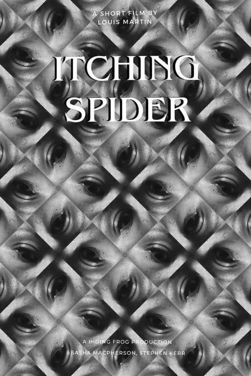 Itching Spider poster