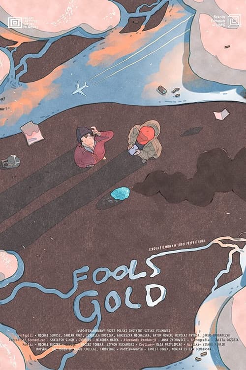 Fools Gold poster