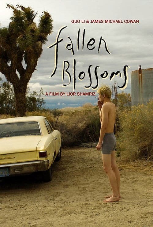 Fallen Blossoms poster