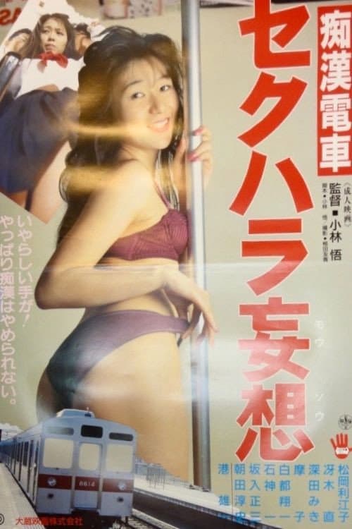 Groper Train: Sexual Harassment Fantasy poster