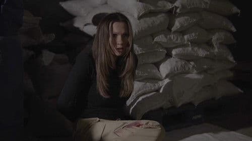 Scam To Horror poster