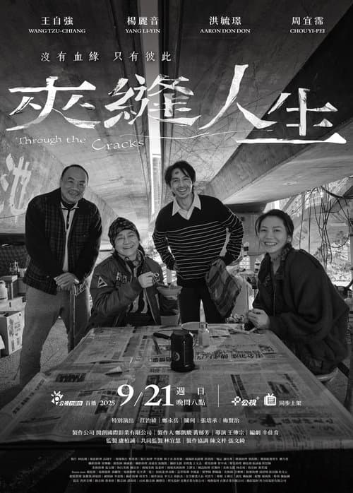 Through the Cracks poster