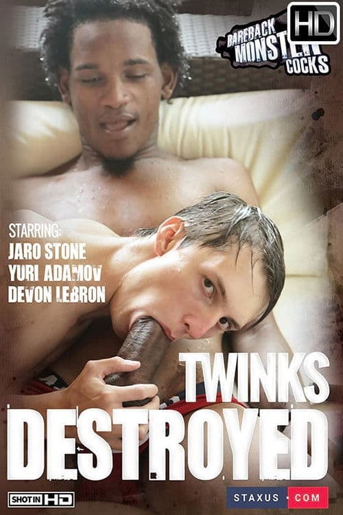 Twinks Destroyed poster