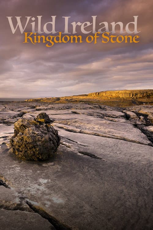 Wild Ireland: Kingdom of Stone poster