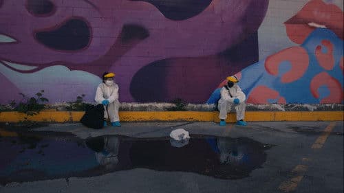 Operation Gingham poster