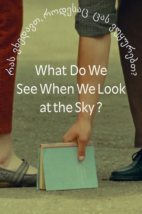 What Do We See When We Look at the Sky? poster