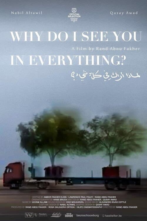 Why Do I See You in Everything? poster