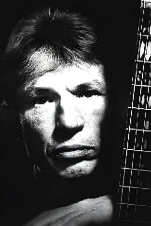 Dmitri Voronkov profile photo