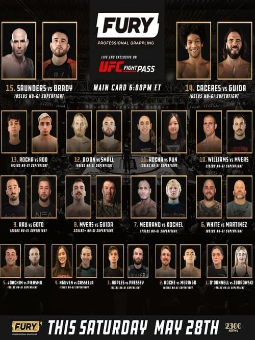 Fury Pro Grappling 4 poster