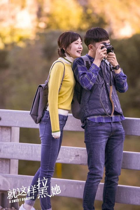 A Sweet Goodbye poster