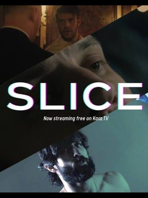 Slice poster