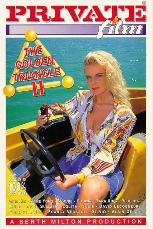 The Golden Triangle 2 poster