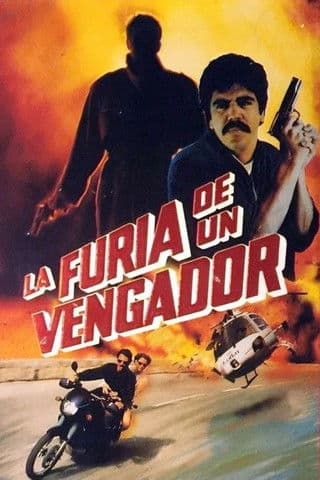 La furia de un vengador poster