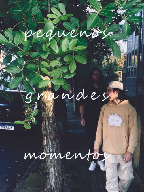 pequenos grandes momentos poster