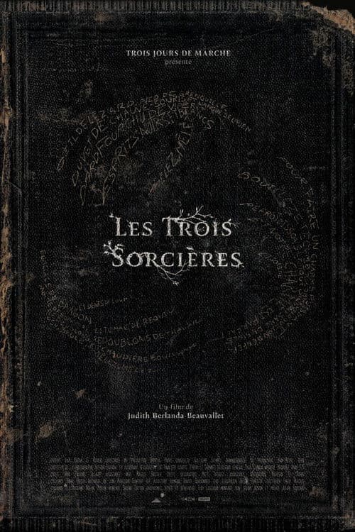 Les Trois Sorcières poster