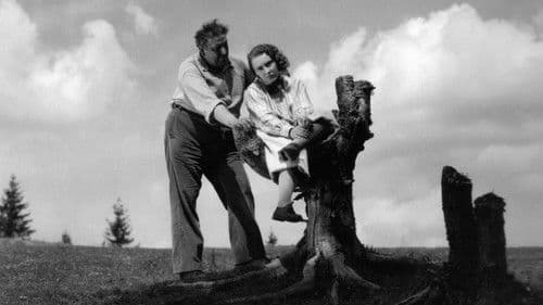 Grandhotel Nevada poster