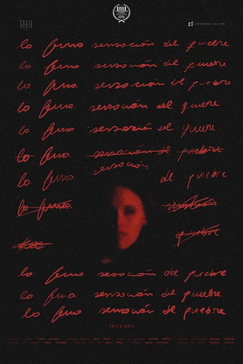 La fina sensación del quiebre poster