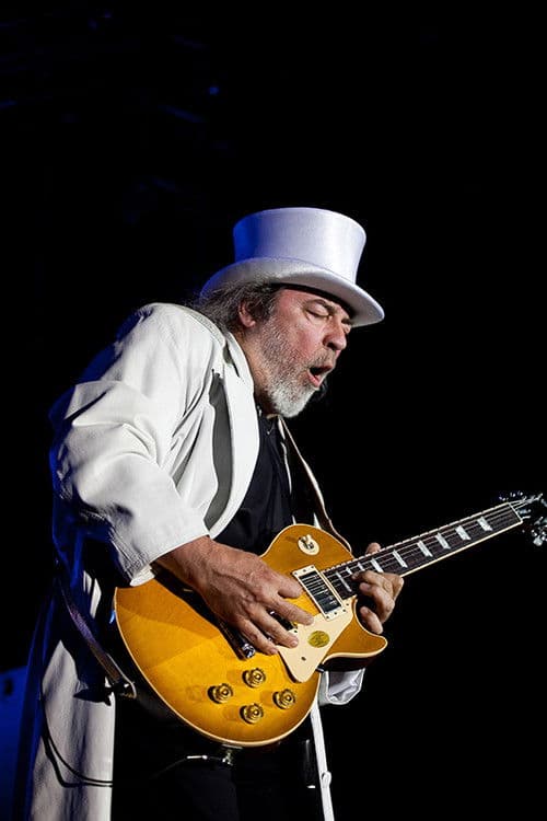 György Molnár profile photo