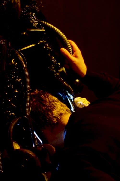 The Weight of Sight poster