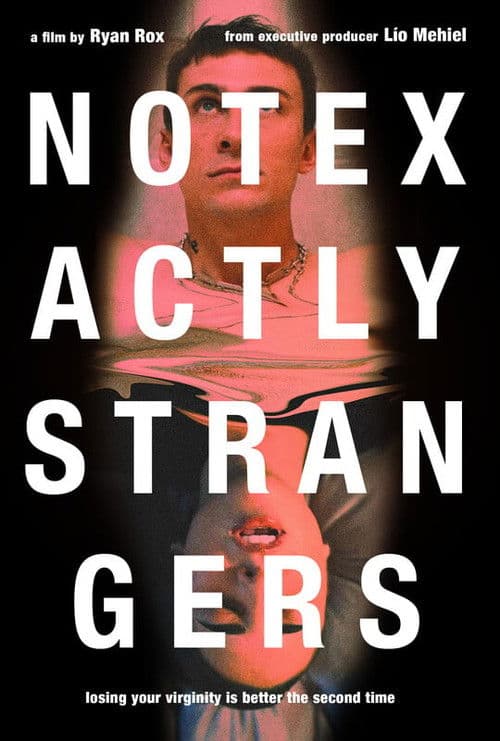 Not Exactly Strangers poster