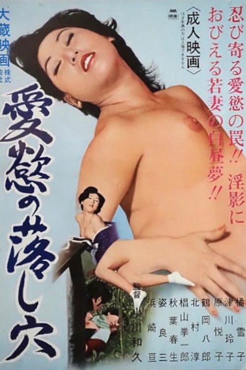 Aiyoku no otoshi ana poster