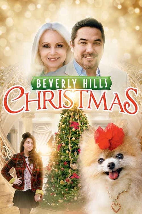 Beverly Hills Christmas poster