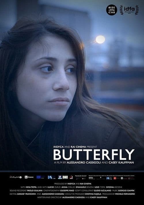 Butterfly poster