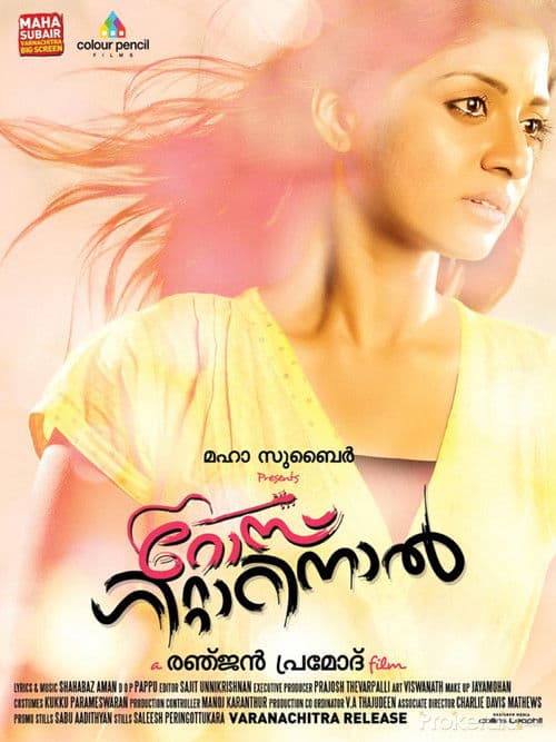 Rose Guitarinaal poster