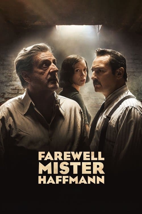 Farewell, Mr. Haffmann poster