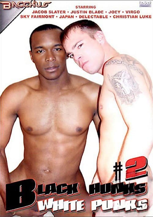 Black Hunks, White Punks 2 poster
