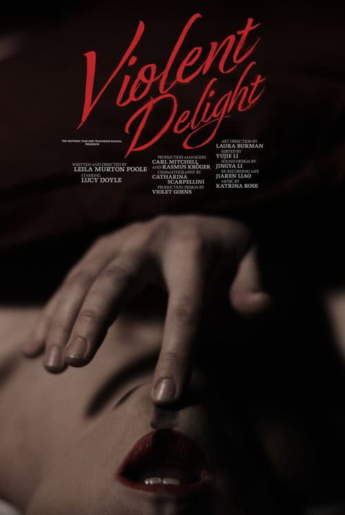 Violent Delight poster
