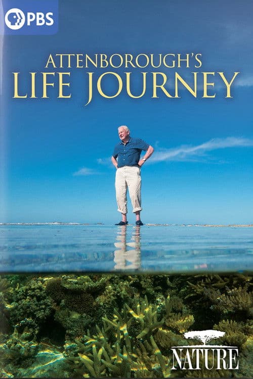 Attenborough's Life Journey poster