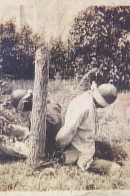 Blood Testament of Nanjing poster