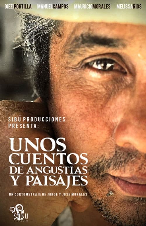 Unos cuentos de Angustias y Paisajes poster