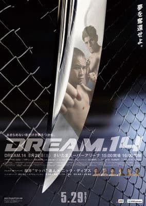 DREAM 14 poster