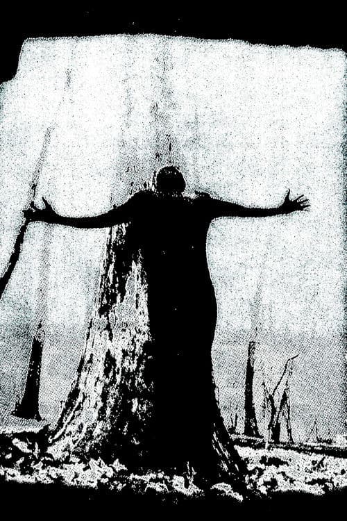 IIsandra In Ruin poster