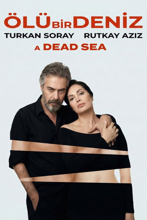 A Dead Sea poster