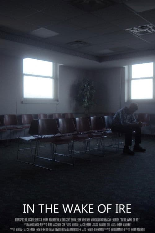 In the Wake of Ire poster