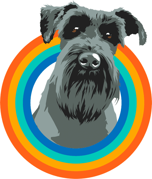 Magic Dog Productions