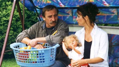 Žena z druhé ruky poster