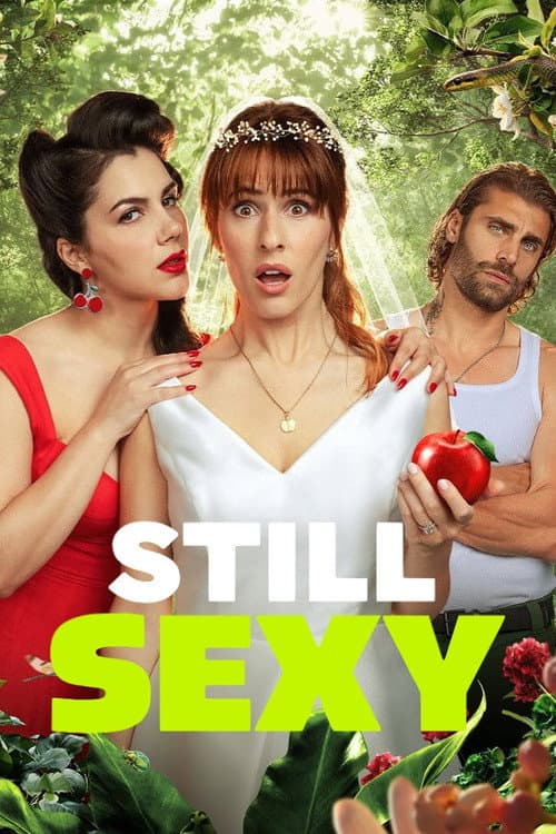 Still Sexy poster