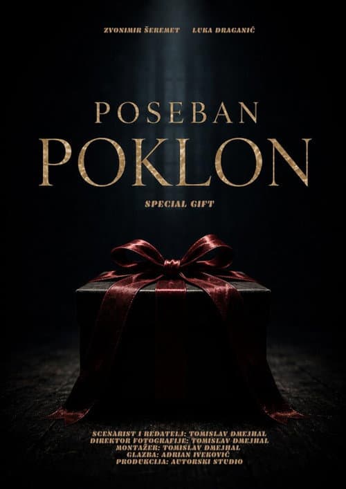 Special Gift poster