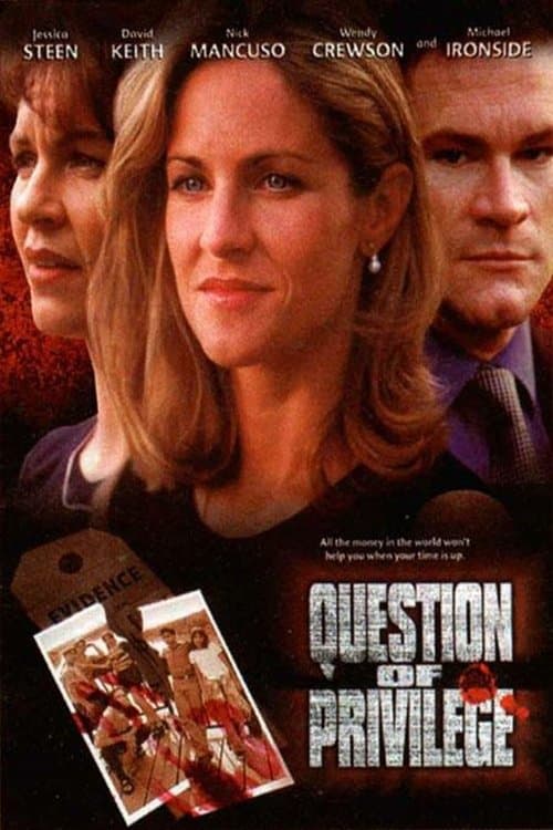 Question of Privilege poster