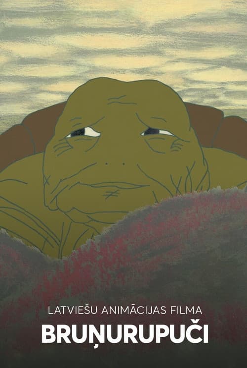 Turtles poster