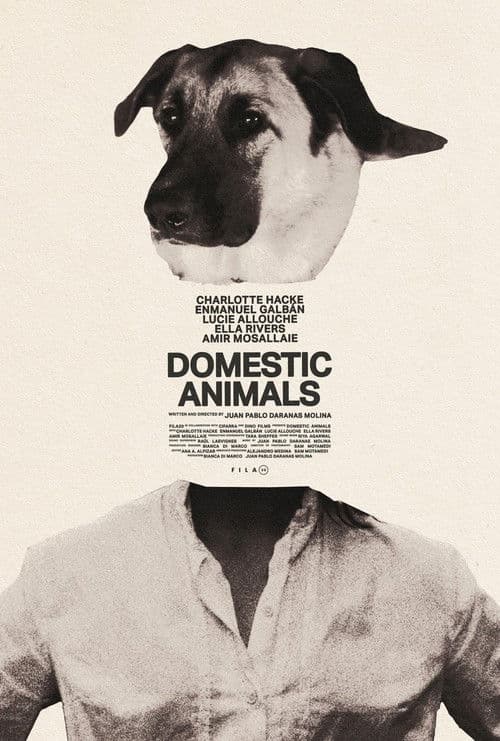 Domestic Animals poster