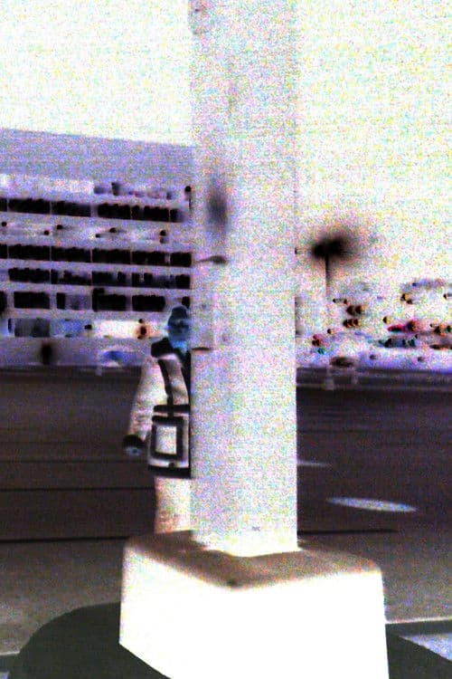 Whenever I Died I Died 1,000 Times poster