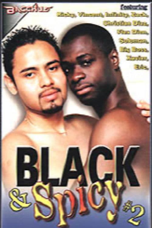Black & Spicy 2 poster