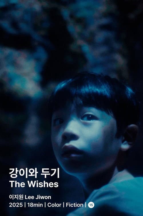 The Wishes poster