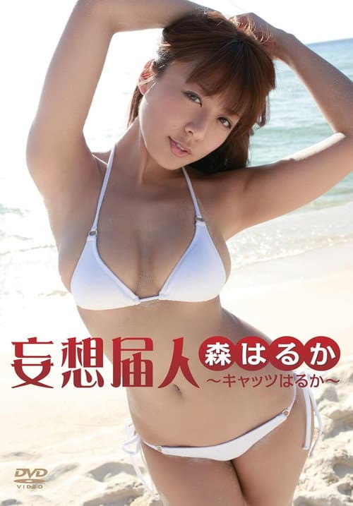 妄想届人～キャッツはるか～ poster