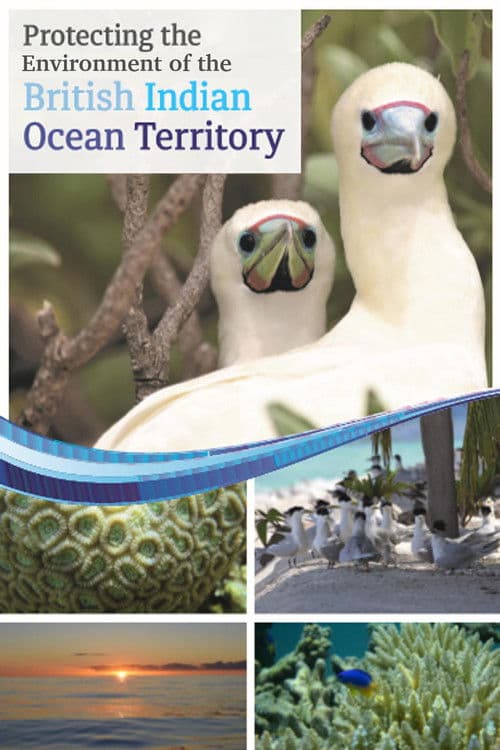 Protecting the Environment of the British Indian Ocean Territory poster
